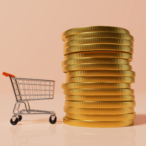 Picture of a small shopping cart next to a stack of oversized coins, depicting the rise in cost